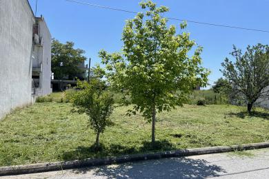 Λάρισα, Οικόπεδο, Πώληση, 198 τ.μ